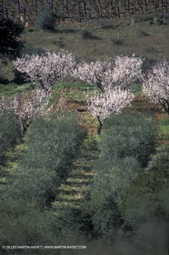 Saint Côme et Maruejols