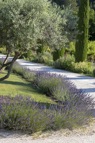 20 06 2018, Ménerbes (FRA,84), La Bastide de Marie