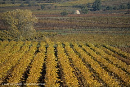 Aix en Provence area