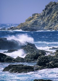 Ile des Embiez (FRA,83)