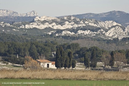05 02 2008 - Arles (FRA, 13) - Arles surroundings landscapes