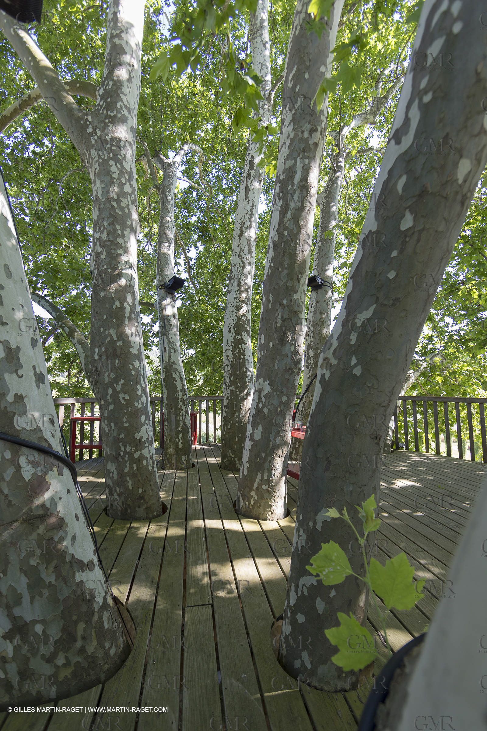 22 06 2018, Saint-Saturnin les Apts (FRA,84), Domaine des Andéols