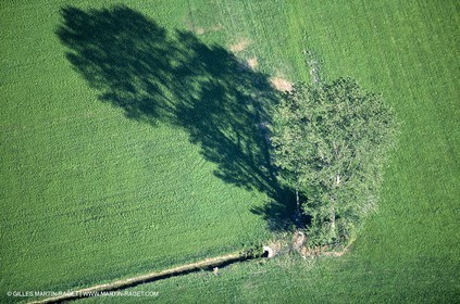 France, Provence, Plaine de la Crau