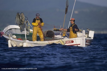 France, Provence, Pêche, barques, pointus, pêheurs, poissons