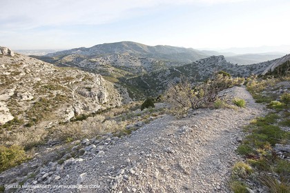 30 04 2009 - Marseille (FRA, 13) - Les Calanques - Vallon du Cancel