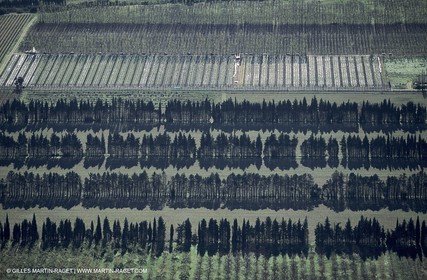 Serres près d'Eyguières