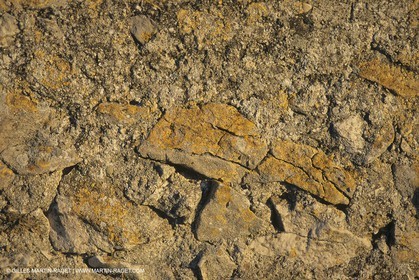 France, Provence, Haute Provence, Val de Durance, Durance river valley