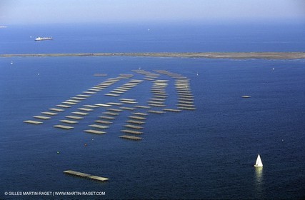 Golfe de Fos mussell culture