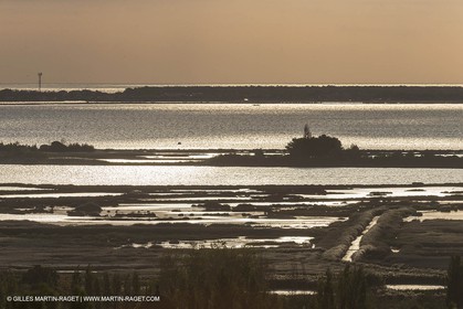 07 10 2014, Etang de Leucate (Fra,66)