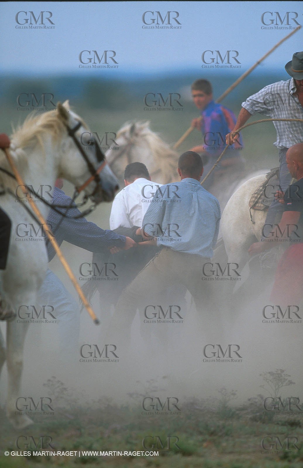 Arles - Camargue gardians (cow boys) at work