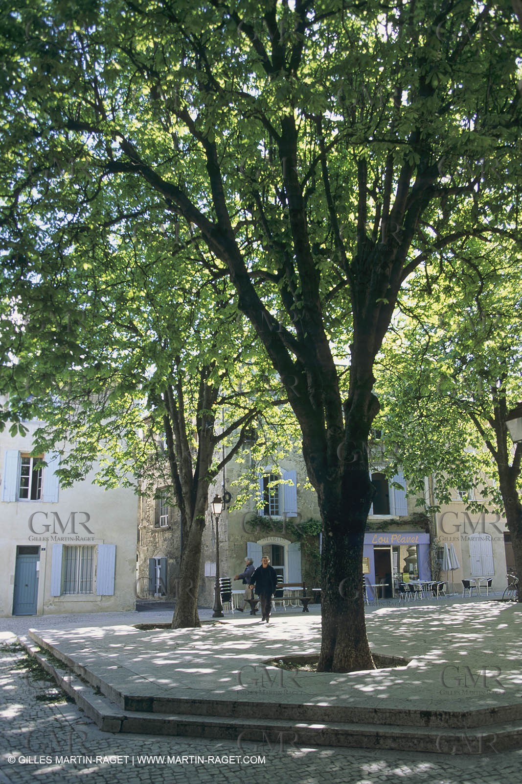 France, Provence, Saint-Rémy de Provence