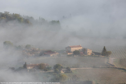 12 04 2016, Parc National du Luberon (FRA, 84)