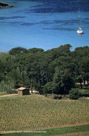 Porquerolles