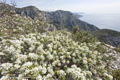 18 04 2009 - Marseille (FRA, 13) - Les Calanques - Au sommet du rocher St Michel