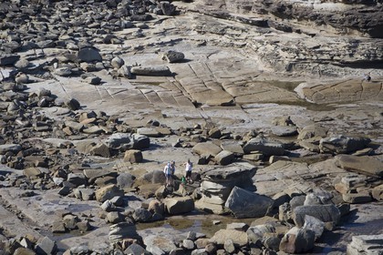 11 12 2006 - Australie - New South Wales - Central coast - Gosford & environs