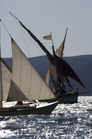 1 09 2007 - Marseille (FRA, 13) - Voile latine à l'Estaque