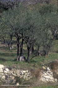 Clarensac