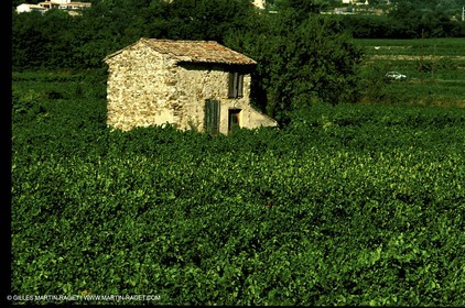 Luberon - Détail cabanon