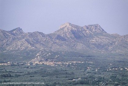 France, south, Alpilles landscapes