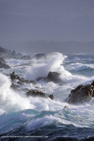 tempest