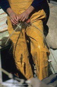 Pêche, barques, pointus, pêcheurs