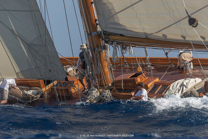 VST21D6_1480.jpg