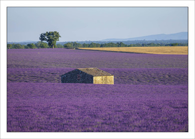 Produit : Tirage photo réalisé par nos soins sur imprimante jet d'encre professionnelle Epson à partir de 8 encres ultrachrome inaltérables (label Digigraphie).Formats au choix :. 20 x 30 cm. 30 x 40 cm. 50 x 70 cm. 80 x 120 cmChoix des papiers :. Papier standard brillant 250 gr., filet noir, marge blanche, tirage non signé. Papier haut de gamme satiné 290 gr. filet noir, marge blanche, tirage vérifié et signé par l'auteur.. Autres supports (canvas, acrylique, dibond) sur demande. Tirages d'art (Digigraphies) signées, numérotées, tamponnées, enregistrées sur demandeConditionnement : tube cylindrique renforcé.Options pour l'expédition : . Colissimo + dépôt boîte aux lettres (France uniquement). Colissimo avec signature à réception. Transporteur express (2 jours ouvrés) avec signature à réceptionCliquez sur caddie pour sélectionner votre formule et démarrer la procédure de commande en ligne