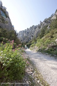 03 05 2009 - Marseille (FRA, 13) - Les Calanques - En Vau - Vallon d'en Vau