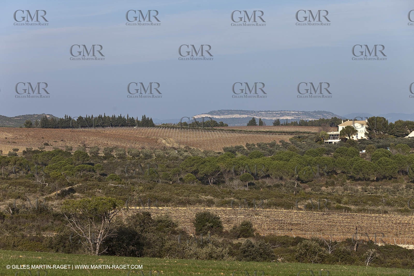 Saint Drézéry (FRA, 34), Domaine de Puech Haut