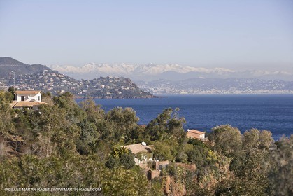 06 02 2008 - Théoule sur mer (FRA, 06) - Mimoses in full flower