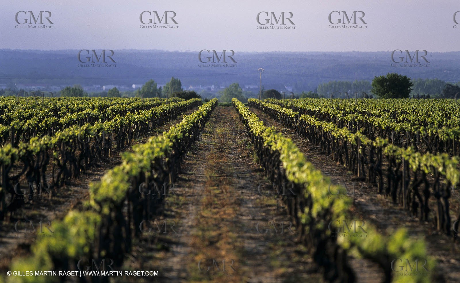 Paysages de Nîmes Métropole (FRA,30) -Costières