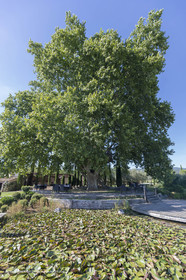 22 06 2018, Saint-Saturnin les Apts (FRA,84), Domaine des Andéols