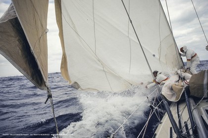 Sailing, Yacht Racing, SORC 81, Miami (USA, FL)
