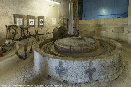 14 11 2015, Saint-Etienne du Grès (FRA,13), traditional making of olive oil at La Croix mill