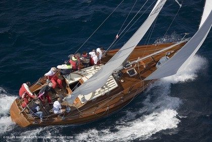 YC9H7087_1.JPG