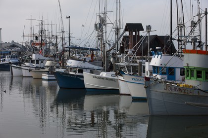 07 01 2011 - San Francisco (USA,CA) - Fishermans wharf