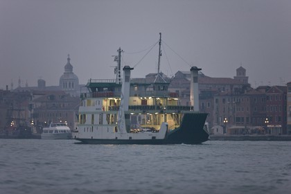 VNZFEBD1_0219.jpg