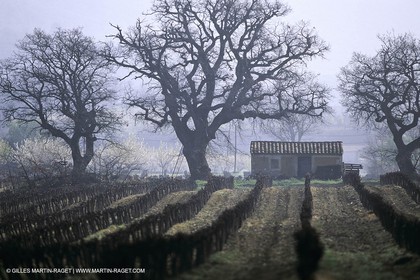 Luberon en hiver vers Saint Saturnin les Apts (FRA,84)